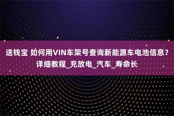 送钱宝 如何用VIN车架号查询新能源车电池信息？详细教程_充放电_汽车_寿命长