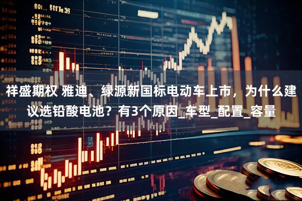祥盛期权 雅迪、绿源新国标电动车上市，为什么建议选铅酸电池？有3个原因_车型_配置_容量